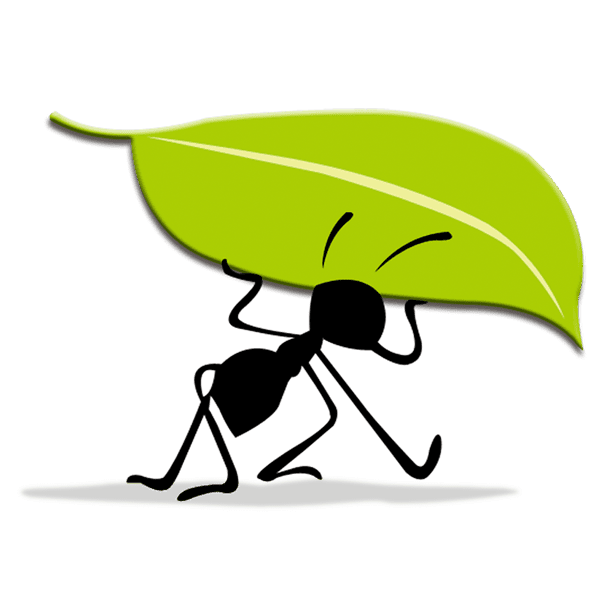agrony.net